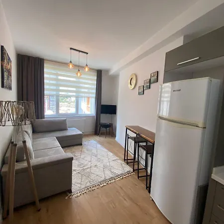 아파트 Business-friendly Flat In Fikirtepe 이스탄불