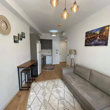 Business-friendly Flat In Fikirtepe *