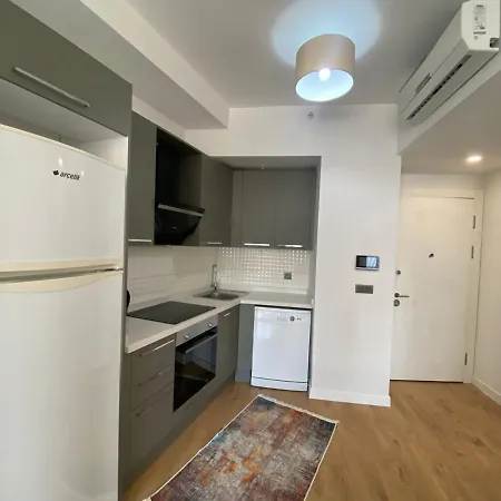 Business-friendly Flat In Fikirtepe 아파트 이스탄불