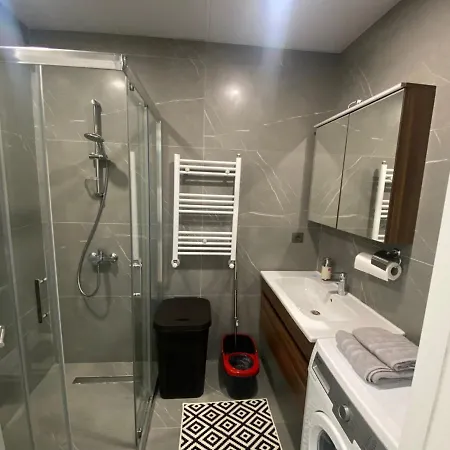 Business-friendly Flat In Fikirtepe *