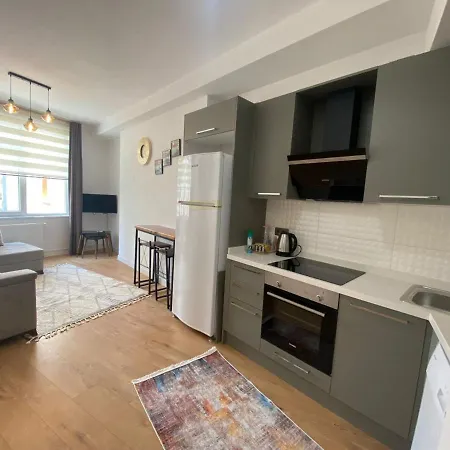 Apartment Business-friendly Flat In Fikirtepe Istanbul